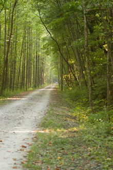 Comfy Campers Provides Full Service Camping for Greenway Sojourn